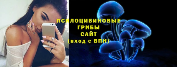гидропоника Медвежьегорск