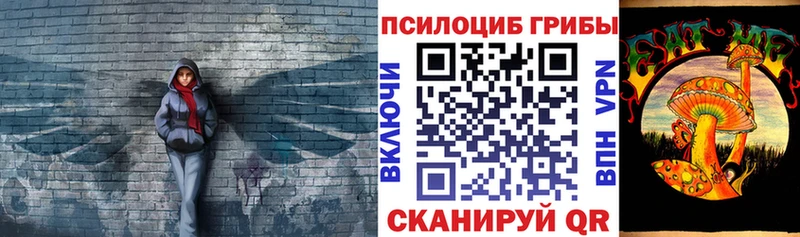 Псилоцибиновые грибы мицелий darknet телеграм Каменногорск