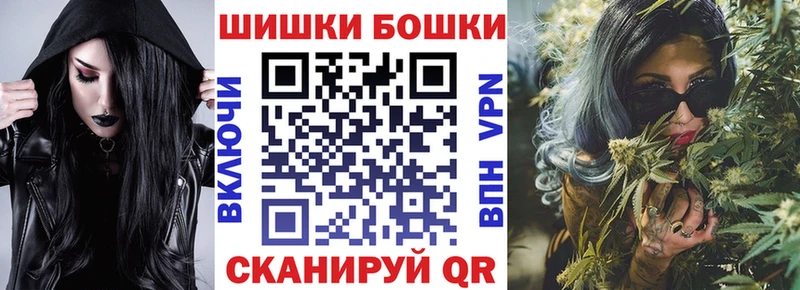 где купить наркоту  Каменногорск  Бошки Шишки сатива 
